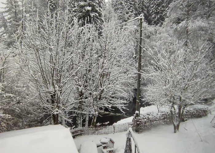 Koenigreich - Dreistegen *